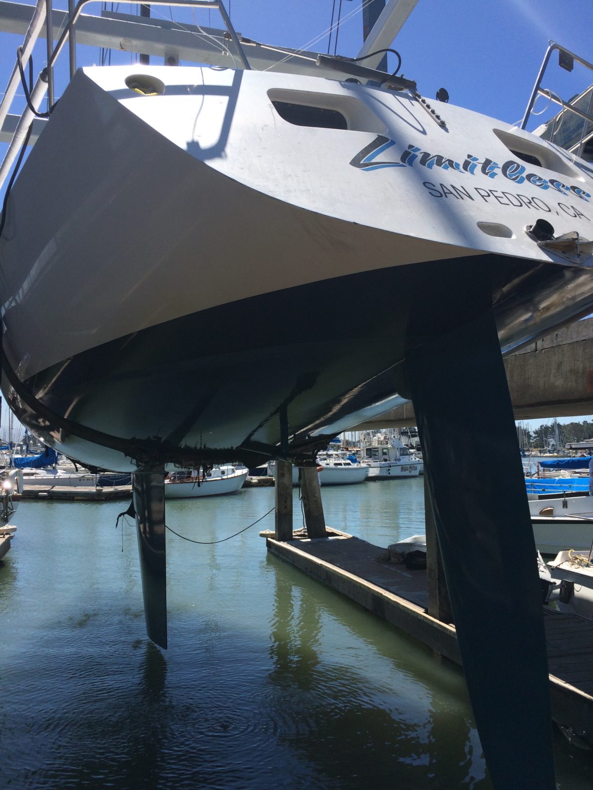 All the way out of the water